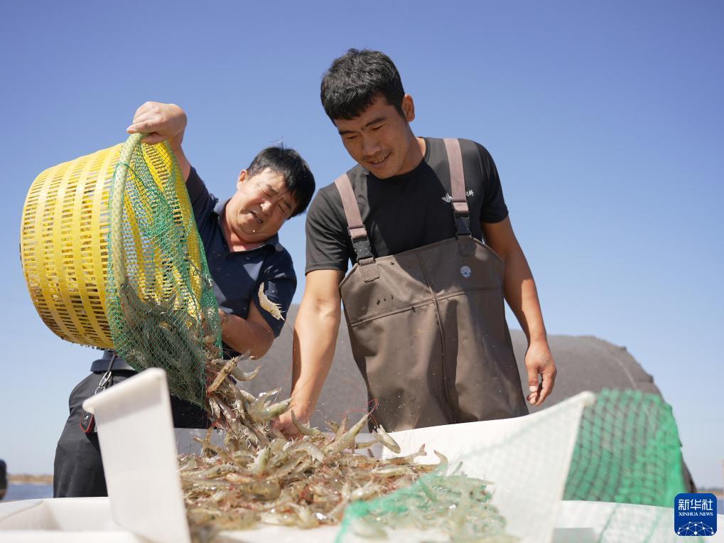 下载游戏中心